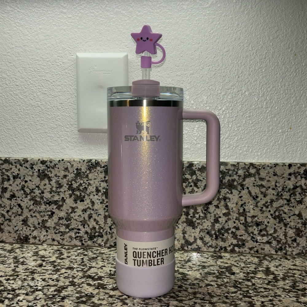 Aster Stanley Brand New